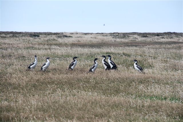 Walking back up wasn't all the youngsters were doing