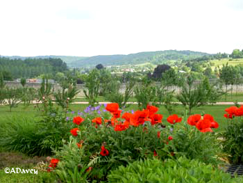 Poppies at Saint Martin-de-Boscherville