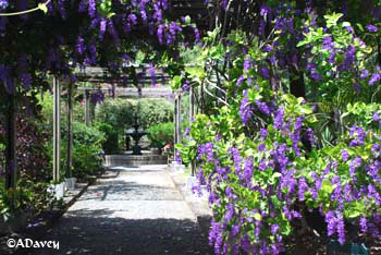 Tortola Botanic Gardens