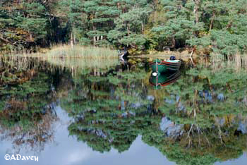 Muckross Lake