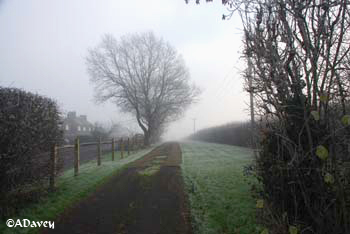 Sussex hoarfrost