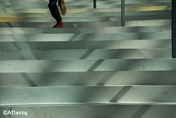 Harpa Building