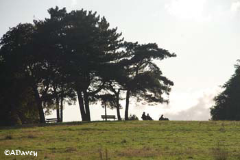 Hampstead Heath