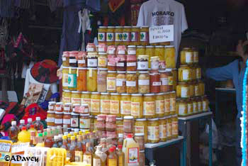 Papaya in Chile