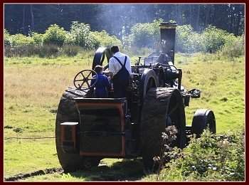 Click to see more details of the steam farm