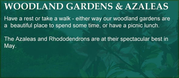 Click to see more details of the Woodland gardens