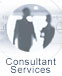 Consultant Services